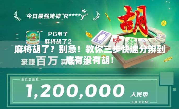 麻将胡了?别急!教你三步快速分辨到底有没有胡!