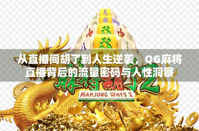 从直播间胡了到人生逆袭，QG麻将直播背后的流量密码与人性洞察