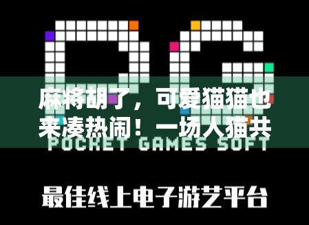 麻将胡了,可爱猫猫也来凑热闹!一场人猫共战的欢乐牌局 麻将胡了,可爱猫猫也来凑热闹!一场人猫共战的欢乐牌局